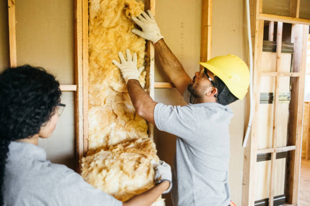 Best Batt and Roll Insulation  in Montpelier, OH